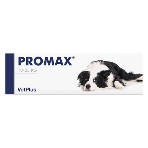Promax Medium Breed – Supliment nutritiv pentru sanatatea tractului digestiv caini de talie medie (10-25 kg), 18ml