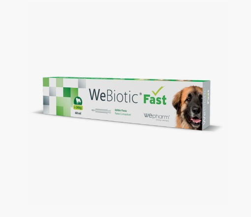 WeBiotic Fast Pasta – Supliment antidiareic (tip pasta) pentru caini si pisici, 60ml