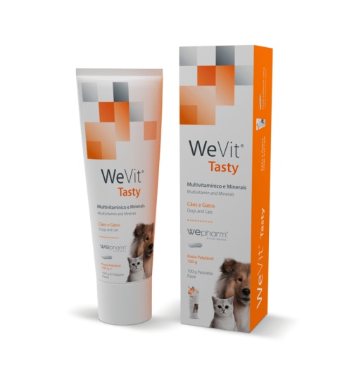 WeVit Pasta – Supliment nutritiv energizant pentru caini si pisici, 100 g