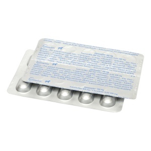 Clavaseptin 500mg - Antibiotic oral pentru infectii orale si cutanate pentru caini de talie mare 10 tablete