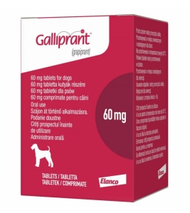 Galliprant 60mg - Control eficient al durerii si inflamatiei in osteoartrita la caini 30 Comprimate
