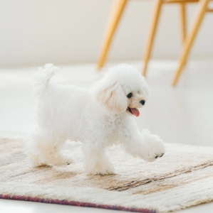 Superior Care Sensitive Skin & Stomach Lamb Adult All Breed - Hrana uscata super premium, destinata cainilor adulti de toate taliile cu piele sensibila si sistem digestiv delicat - Img 5