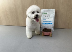 Superior Care Veterinary Diet Hypoallergenic Adult All Breeds cu Insecte - Hrana uscata dietetica super premium destinata cainilor adulti din toate rasele predispusi la alergii alimentare - Img 6