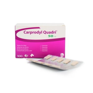 Carprodyl Quadri 50mg - Tratament pentru reducerea durerii si inflamatiei la caini, 100 capsule