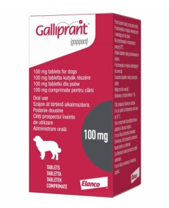Galliprant 100mg – Control eficient al durerii si inflamatiei in osteoartrita la caini 30 Comprimate