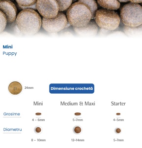 N&D Pumpkin Miel, Dovleac & Afine Puppy Mini – Hrana uscata cu miel pentru catei de talie mica si femele gestante sau lactante - Img 3