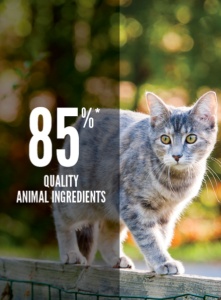 Orijen Original Cat – Hrana uscata completa pentru pisici adulte - Img 3