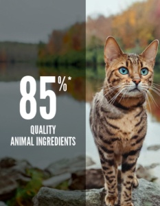 Orijen Six Fish Cat – Hrana uscata completa pentru pisici de toate rasele si varstele - Img 3