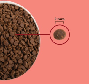 Acana Cat High Protein Indoor – Hrana uscata pentru pisici adulte de interior - Img 3