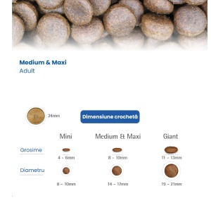 N&D Quinoa Digestion Medium & Maxi – Hrana uscata cu miel pentru caini adulti cu sensibilitate digestiva, 7kg - Img 3