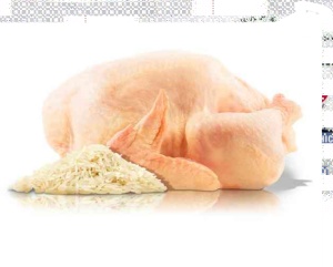 Platinum Puppy Chicken – Hrana uscata cu pui pentru catei - Img 2