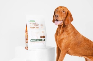 Superior Care Red Coat Grain Free Adult All Breed cu Miel - Hrana uscata super premium pentru caini adulti cu cu blana roscata sau brun-roscata - Img 2
