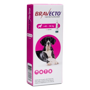 Bravecto spot-on 1400 mg - Antiparazitar extern pentru caini (40-56 kg), 1 doza