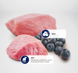 N&D Prime Adult Medium & Maxi Miel si Afine – Hrana uscata cu miel fara cereale pentru caini adulti pentru aport de energie, 12kg - Img 2