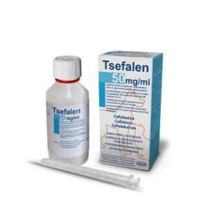 Tsefalen – Antibiotic lichid pentru infectii bacteriene la caini si pisici 100ml