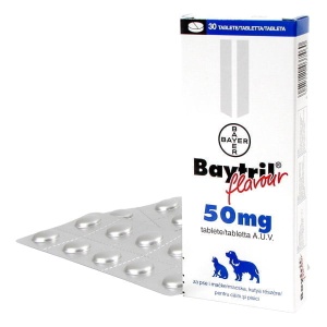 Baytril Flavoured 50 mg – Antibiotic oral pentru tratamentul cu spectru larg pentru infectiil bacteriene pentru caini si pisici, 30 comprimate