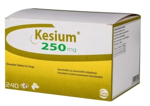 Kesium 200mg/50mg - Antibiotic pentru infectii cutanate, urinare, respiratorii si digestive pentru caini si pisici, 240 Tablete