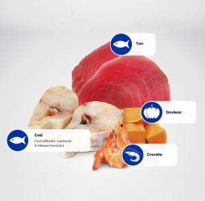 N&D Ocean Ton, cod, crevete & dovleac Kitten - Hrana umeda cu ton pentru pui de pisica, 70g - Img 2