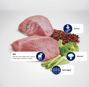 N&D Quinoa Weight Management – Hrana uscata cu miel pentru pisici adulte cu tendinta de supraponderabilitate, 1,5kg - Img 2