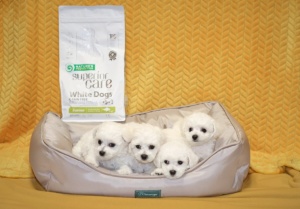 Superior Care White Dogs Grain Free Small&Mini Breeds Junior cu Peste Alb - Hrana uscata completa Super Premium pentru caini juniori de talie mica (1–10 kg), cu blana alba - Img 9