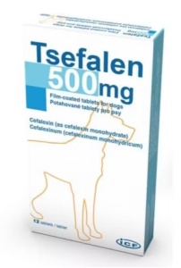 Tsefalen 500 mg Antibiotic cu cefalexina pentru caini 12 tablete
