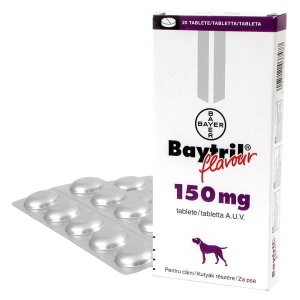 Baytril Flavoured 150 mg – Antibiotic cu spectru larg pentru infectii bacteriene pentru caini si pisici 20 comprimate