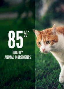 Orijen Fit & Trim Cat – Hrana uscata completa pentru pisici adulte - Img 3