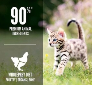 Orijen Kitten – Hrana uscata completa pentru pisoi - Img 3