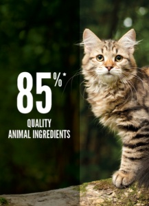 Orijen Tundra Cat – Hrana uscata completa pentru pisici de toate rasele si varstele - Img 3