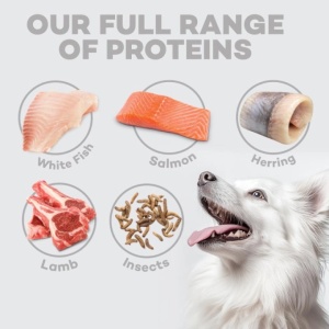 Superior Care White Dogs Grain Free All Life Stages cu Peste Alb - Hrana uscata super premium fara gluten pentru cainii de toate taliile si varstele cu blana deschisa la culoare, 4kg - Img 7