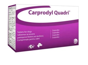 Carprodyl Quadri 120mg - Tratament pentru reducerea durerii si inflamatiei la caini, 120 capsule