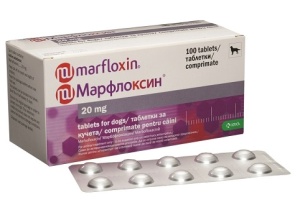 Marfloxin 20mg - Antibiotic pentru infectii bacteriene 100 Comprimate