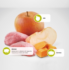 N&D Pumpkin Mistret, Dovleac & Mar Adult Mini – Hrana uscata cu Mistreț pentru caini adulti de talie mica - Img 2