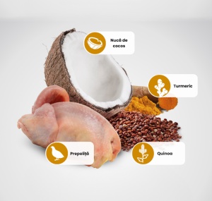 N&D Quinoa Skin & Coat – Hrana uscata cu prepelita pentru pisici cu sensibilitati dermatologice, 1.5kg - Img 2