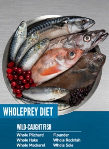 Orijen Six Fish Cat – Hrana uscata completa pentru pisici de toate rasele si varstele - Img 5