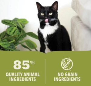 Acana Cat Premium Pate Chicken – Hrana umeda completa tip pateu pentru pisici adulte, 85g - Img 2