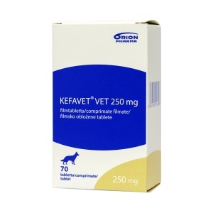 Kefavet 250 mg - antibiotic pentru infectii urinare si dermatologice recurente 14 comprimate
