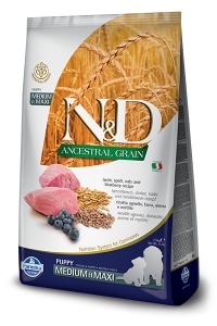 N&D Ancestral Grain Miel & Afine Puppy Medium & Maxi - Hrana uscata cu miel pentru catei de talie medie si mare