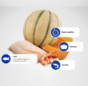 N&D Ocean Cod, Crevete, Dovleac & Pepene Galben – Hrana uscata cu cod si crevete pentru pui de pisica - Img 3