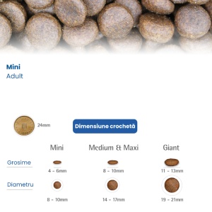 N&D Pumpkin Mistret, Dovleac & Mar Adult Mini – Hrana uscata cu Mistreț pentru caini adulti de talie mica - Img 3