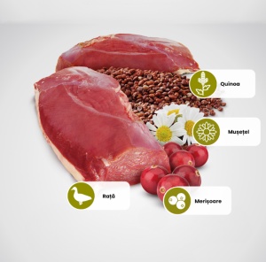 N&D Quinoa Urinary – Hrană uscata cu rata pentru sănătatea tractului urinar la pisici,1.5kg - Img 2