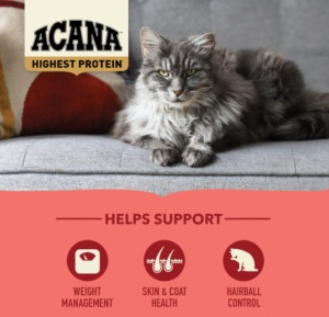 Acana Cat High Protein Indoor – Hrana uscata pentru pisici adulte de interior - Img 2