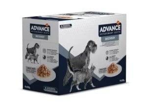 Advance Veterinary Diets Recovery – Hrana umeda cu pui pentru recuperare si convalescenta, 100 g