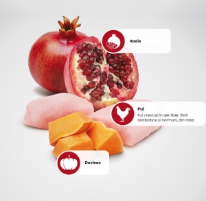 N&D Prime Pui si Rodie – Hrana umeda cu pui completa pentru pisici adulte, 70g - Img 2