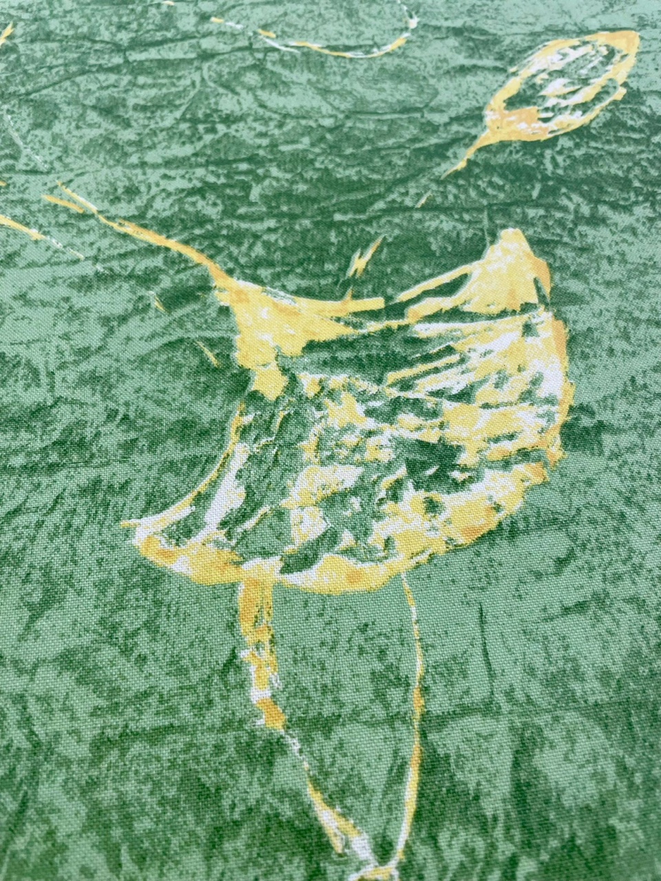 Aceasta este imaginea corespunzatoare acestui obiect