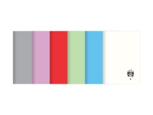 CAIET 24 FILE TIP II COPERTA PLASTIC DACO