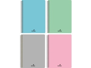 CAIET A4 80 FILE SPIRA ECADA DICT. COPERTA PLASTIC