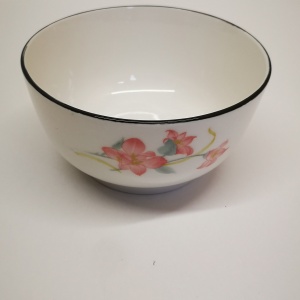 BOL CERAMIC 6" ECR3 15CM