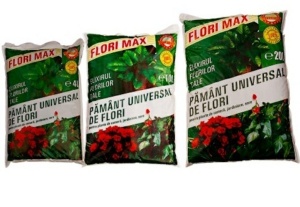 PAMANT FLORI 4L - Img 2