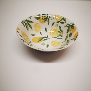 BOL CERAMIC 7" ECO3